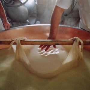 Parmigiano Reggiano DOP: Lavorazione